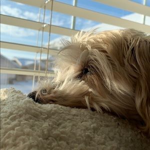 Meet your Posher, Alecia